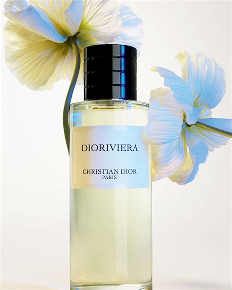 dior fabrice material|Dior dioriviera.